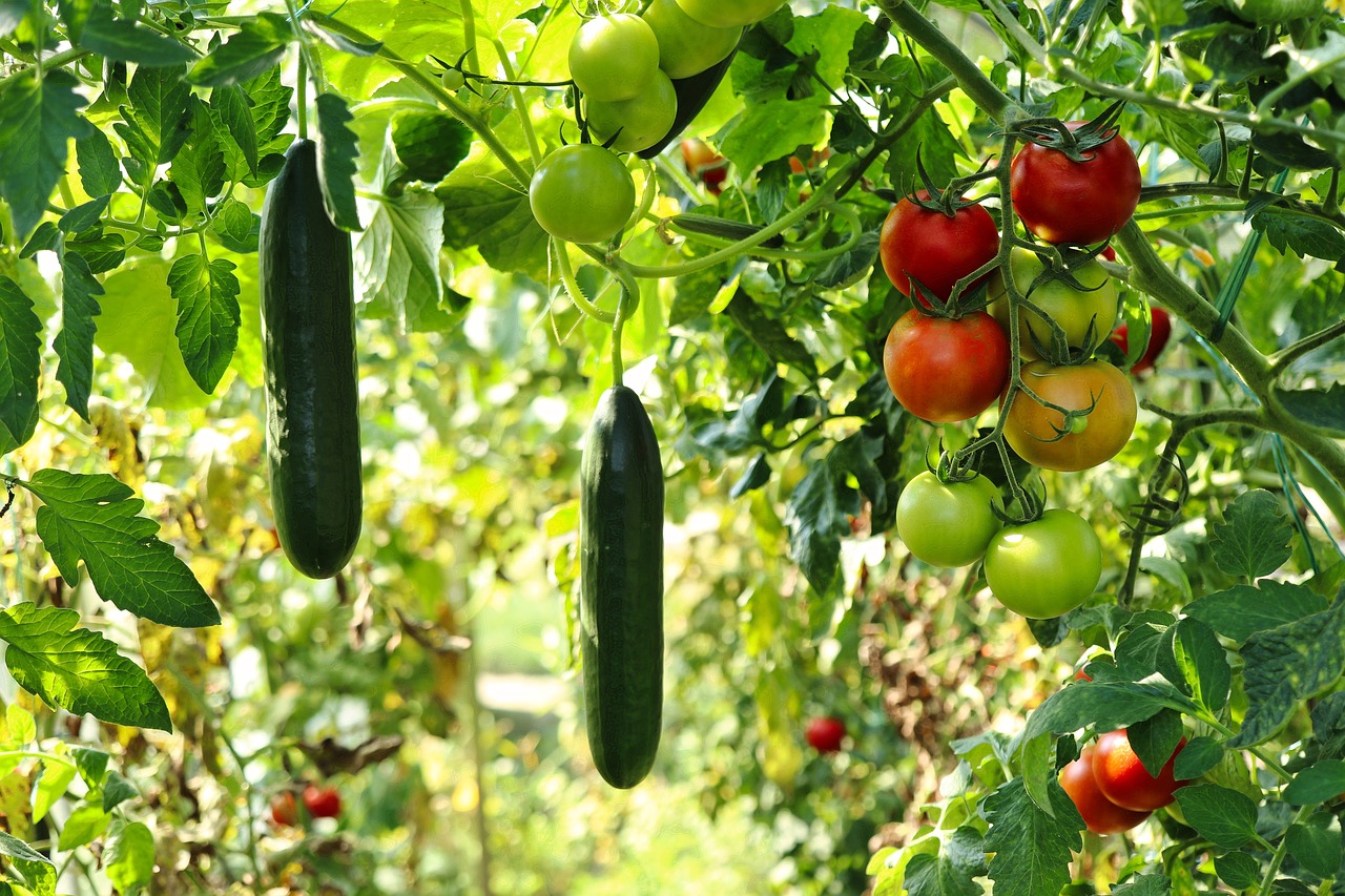 A foolproof guide to Companion Planting in your garden